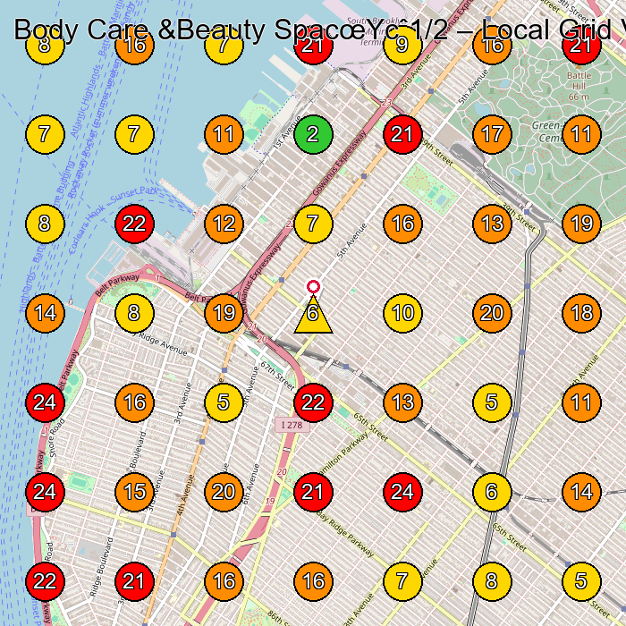 Body Care &Beauty SpacœYcˆ1/2 Massage Spa GeoGrid ranking map for Brooklyn NY